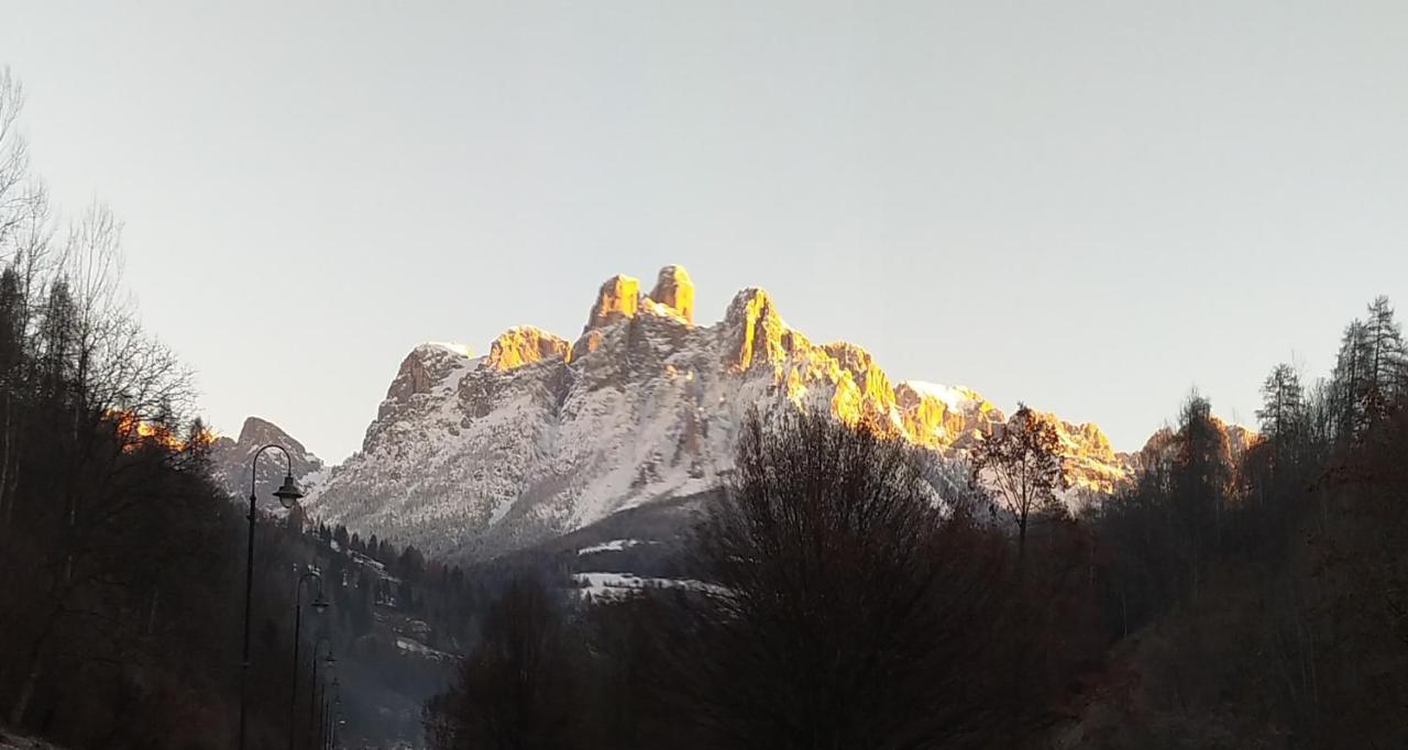 梅扎诺Casa Renzo - Dolomiti - Trentino公寓 外观 照片