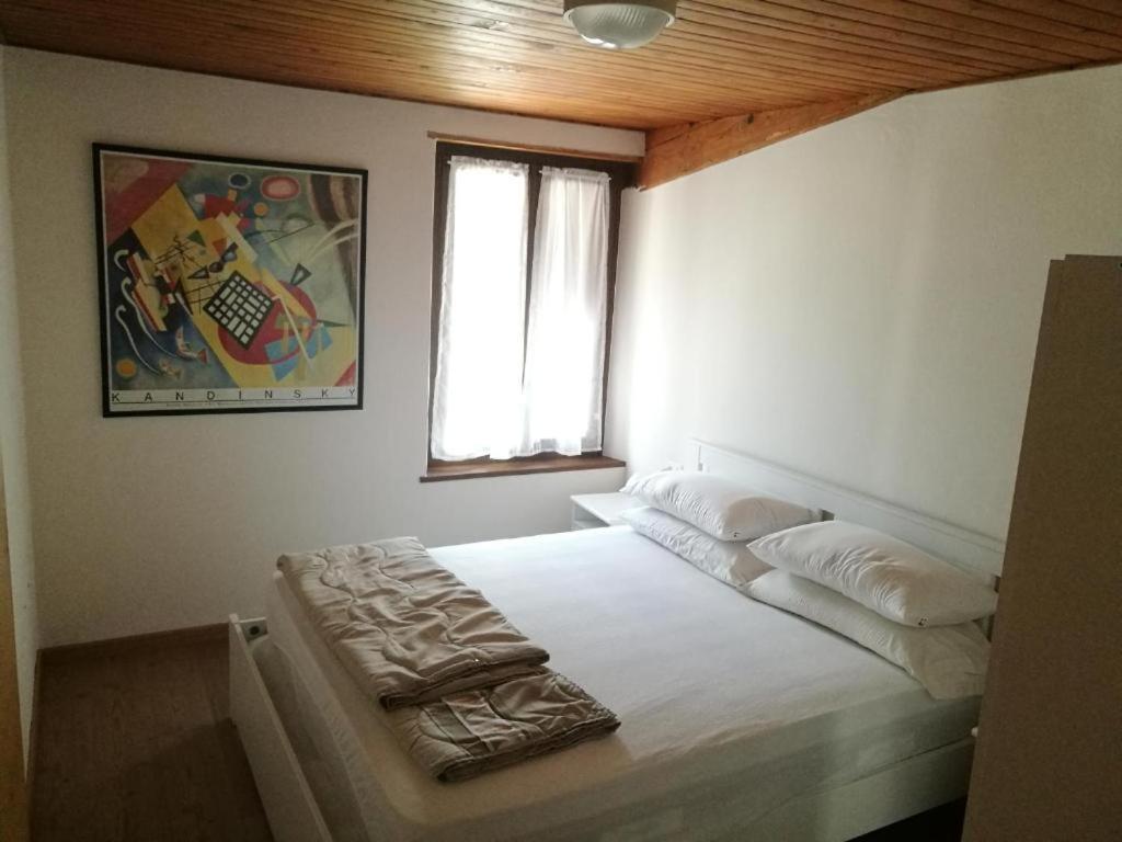 梅扎诺Casa Renzo - Dolomiti - Trentino公寓 外观 照片